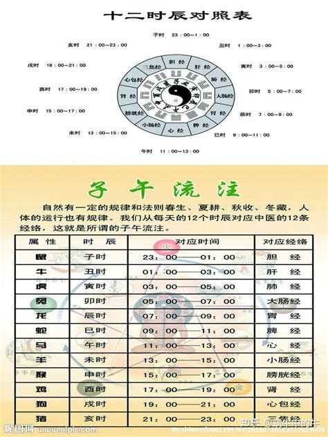 天干 時間|间天干地支十二小时与十二时辰对于时间对照表